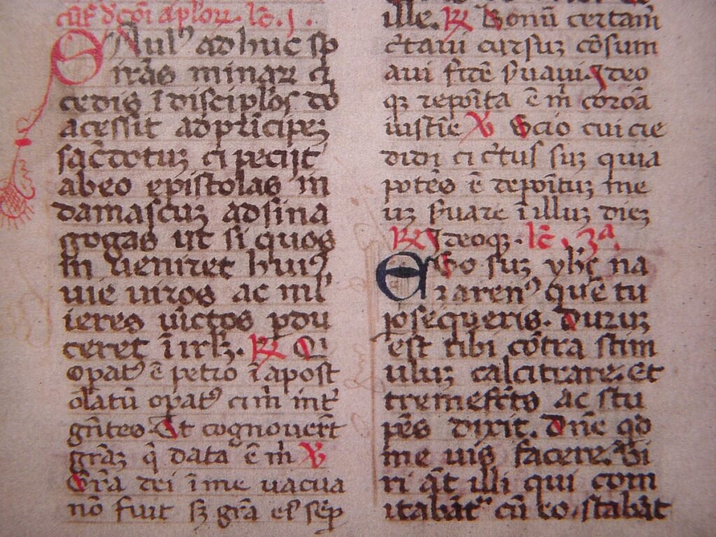 Quali Sono Alcuni Dei Detti In Latino Più Famosi E Il Loro Significato