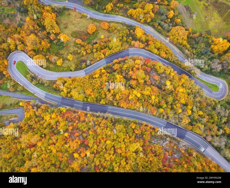 Come calcolare il bollo auto in Emilia Romagna Guida e informazioni! 2 auto parcheggiata con paesaggio emiliano