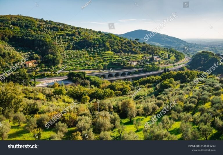 Come Si Calcola Il Pedaggio Autostradale In Italia E Dove Trovarlo 34 autostrada italiana con paesaggio panoramico