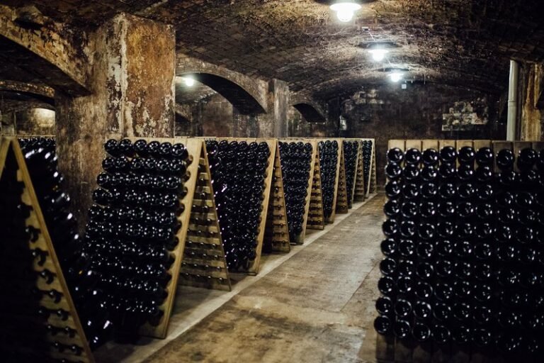 Oltrepò Pavese: Qual è il Metodo Classico e le sue caratteristiche 30 bottiglie di vino metodo classico in cantina