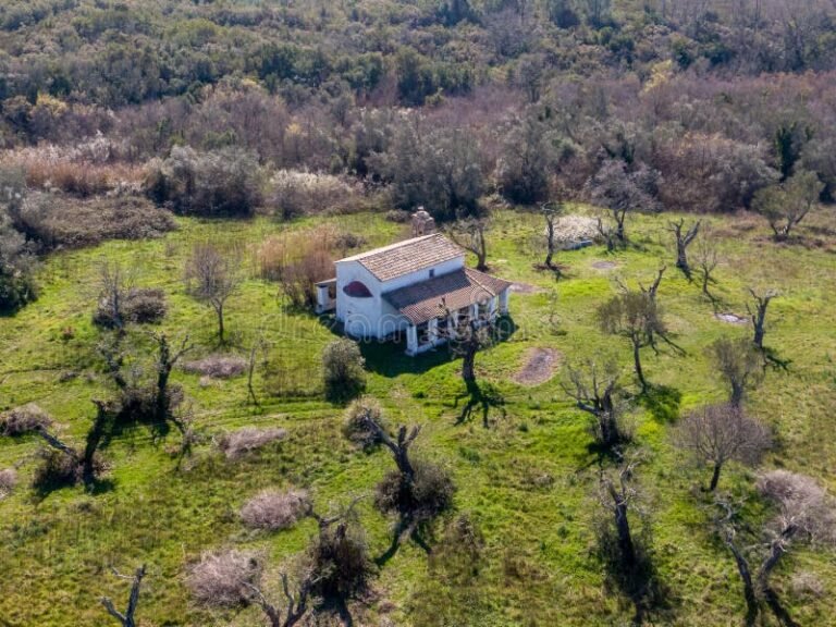Perché scegliere una casa con terreno agricolo per investire 31 casa immersa nel verde con campi circostanti