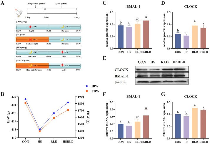 Come si calcola il TAEG di un mutuo e quali sono le sue implicazioni 5 Come si calcola il TAEG di un mutuo e quali sono le sue implicazioni