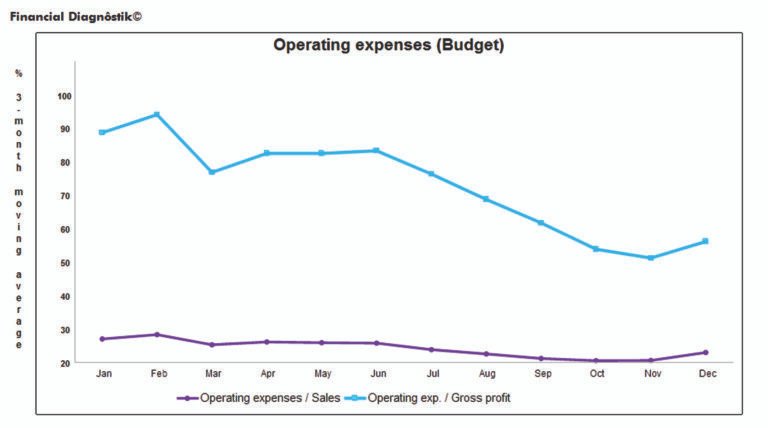 grafico di un bilancio desercizio