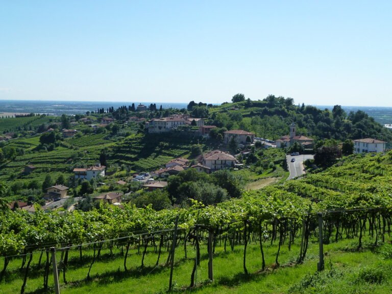 panorama di grumello del monte con industrie