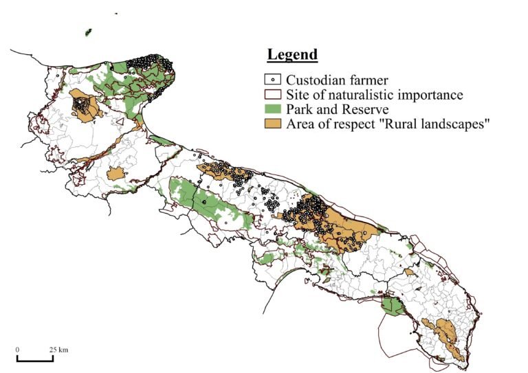 rappresentazione della puglia con elementi agricoli