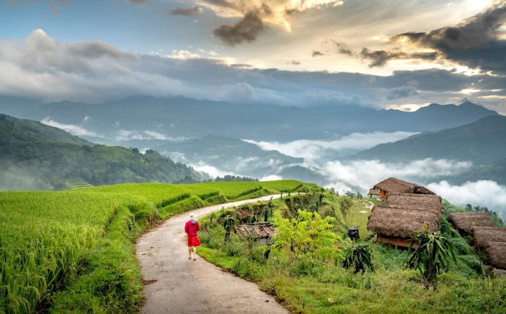 Qual è il numero verde per controllare i punti sulla patente