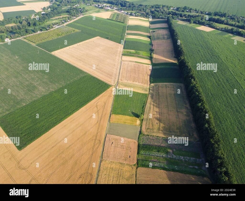 Cosa Si Può Fare Su Un Terreno Agricolo E Quali Sono Le Opzioni 7 Cosa Si Può Fare Su Un Terreno Agricolo E Quali Sono Le Opzioni