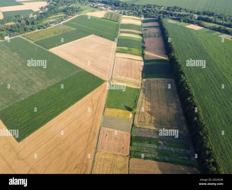 terreno agricolo con coltivazioni diverse