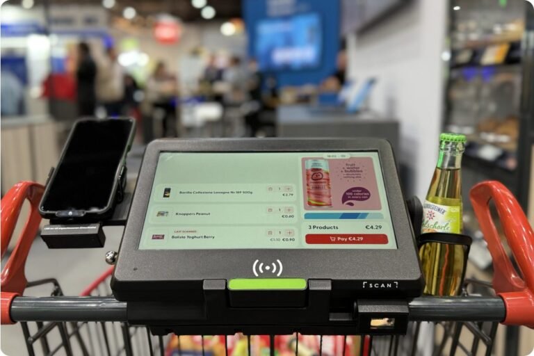 Quali Sono i Termini e Condizioni Fondamentali per un Ecommerce 3 un carrello della spesa digitale 1