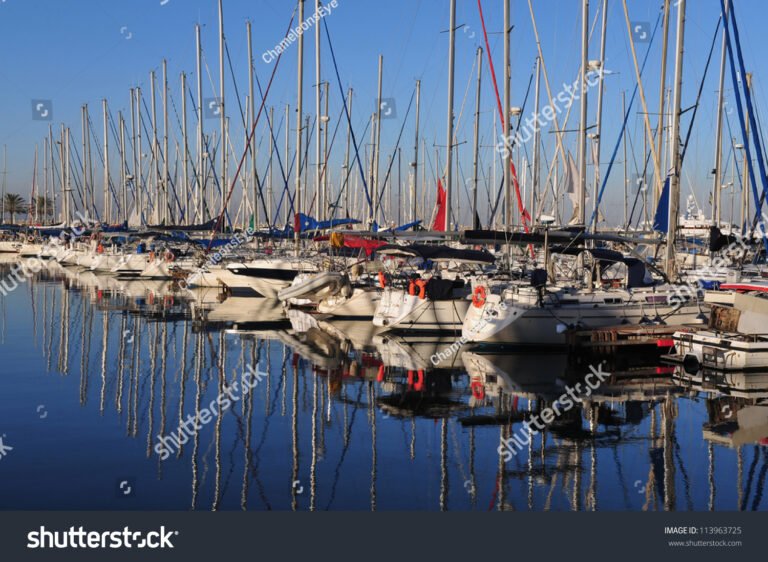 un porto affollato con barche a vela