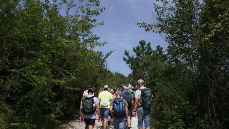 un team che collabora in un ambiente sereno