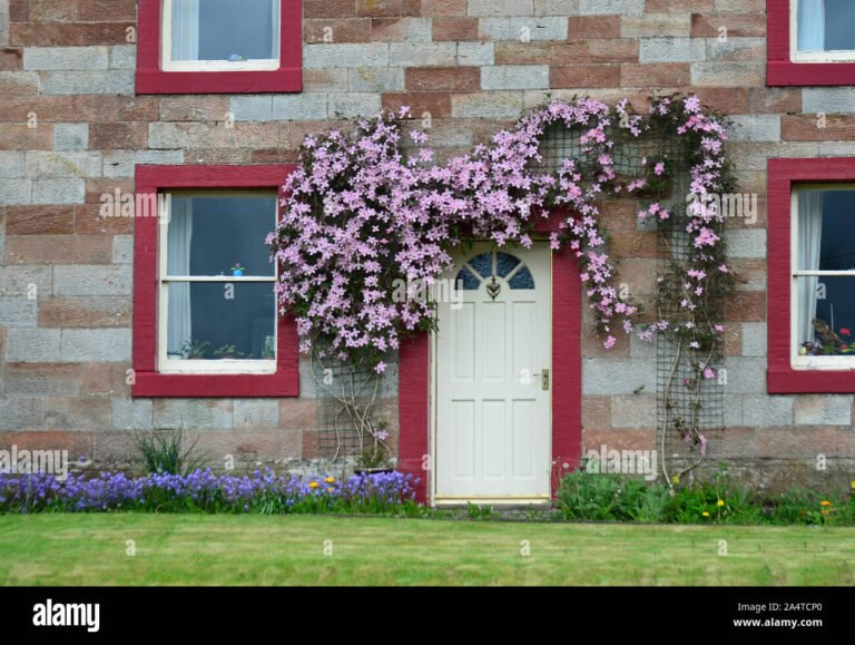 una casa con fiori sulla porta