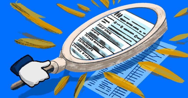 Come posso effettuare il controllo della partita IVA presso l'Agenzia delle Entrate 1 una mano che controlla documenti fiscali