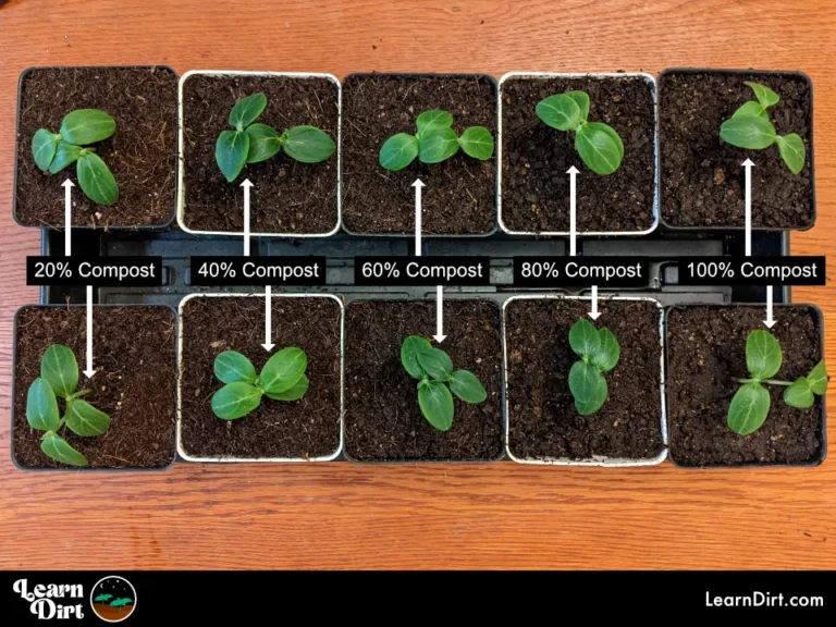 una piantina di una casa con misure